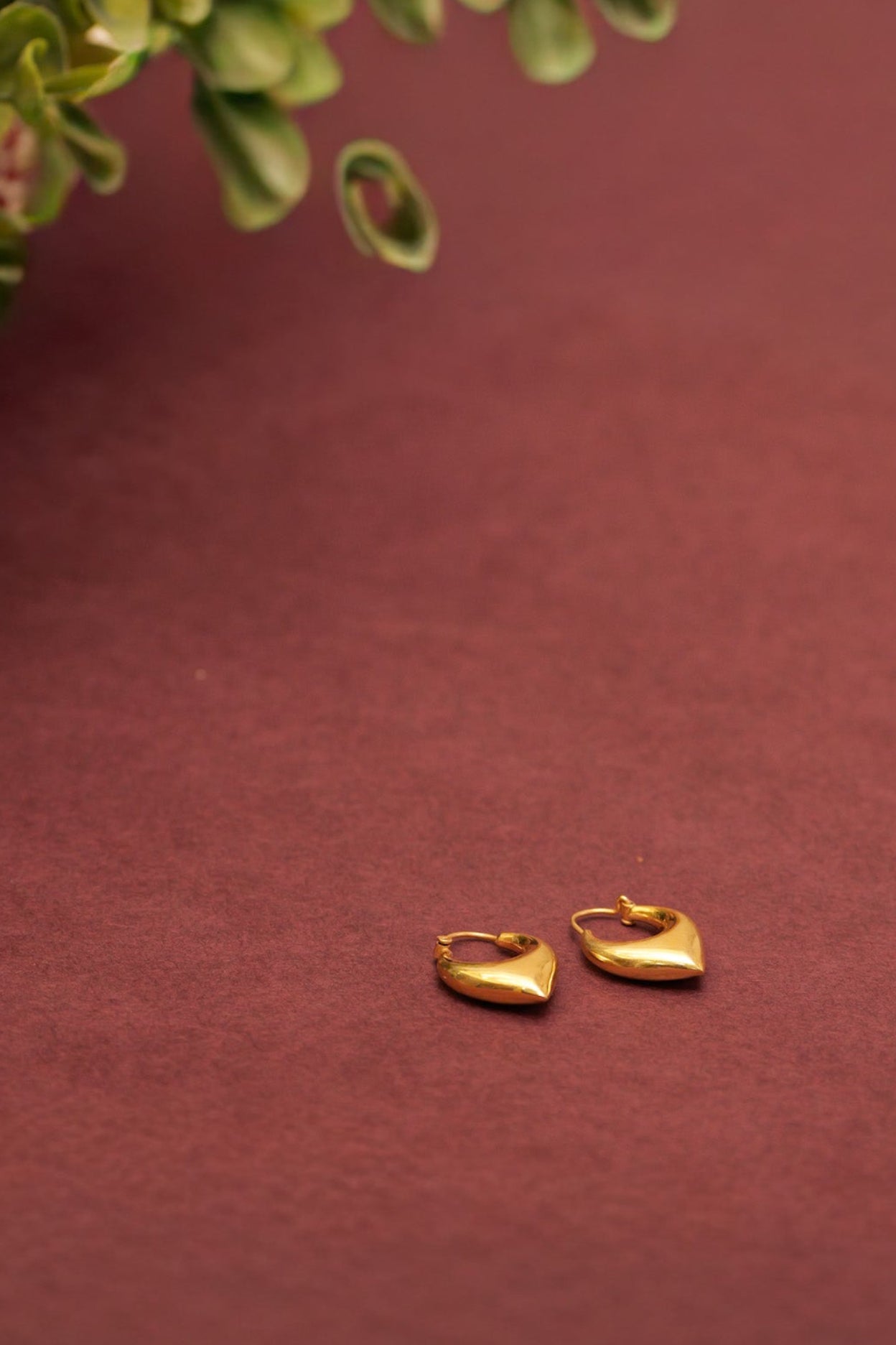 Aadhya Gold Classic Hoops